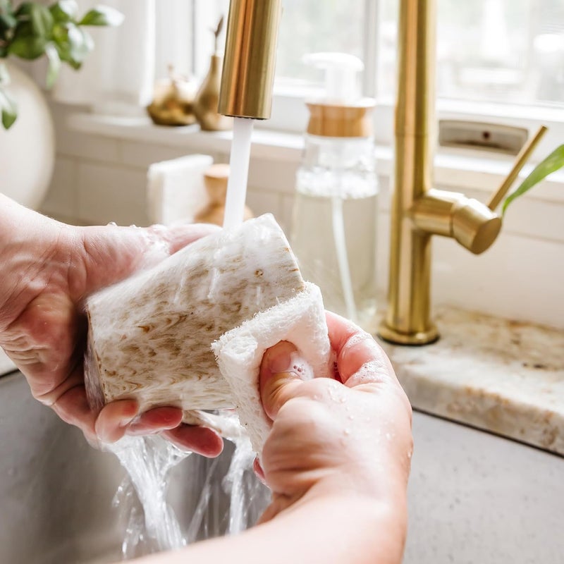 Full Circle Coconut Scrubber Sponges, Pack of 6 – Dual-Sided, Plant-Based Sponges Made with Coconut Shells, Cellulose & Recycled Materials, Safe for Nonstick Cookware - Image 4